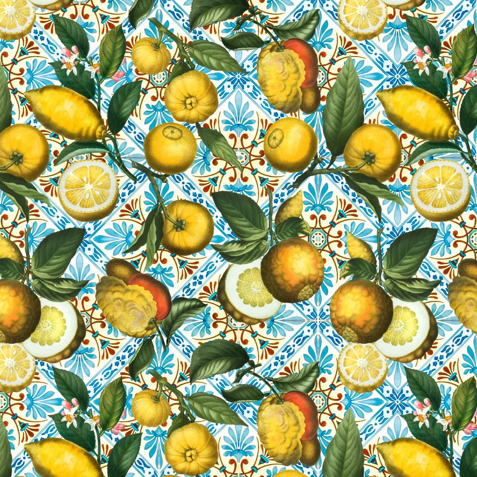 Limoni su piastrelle marocchine azzurre Vintage Mediterraneo plexiglass da Stilrausch