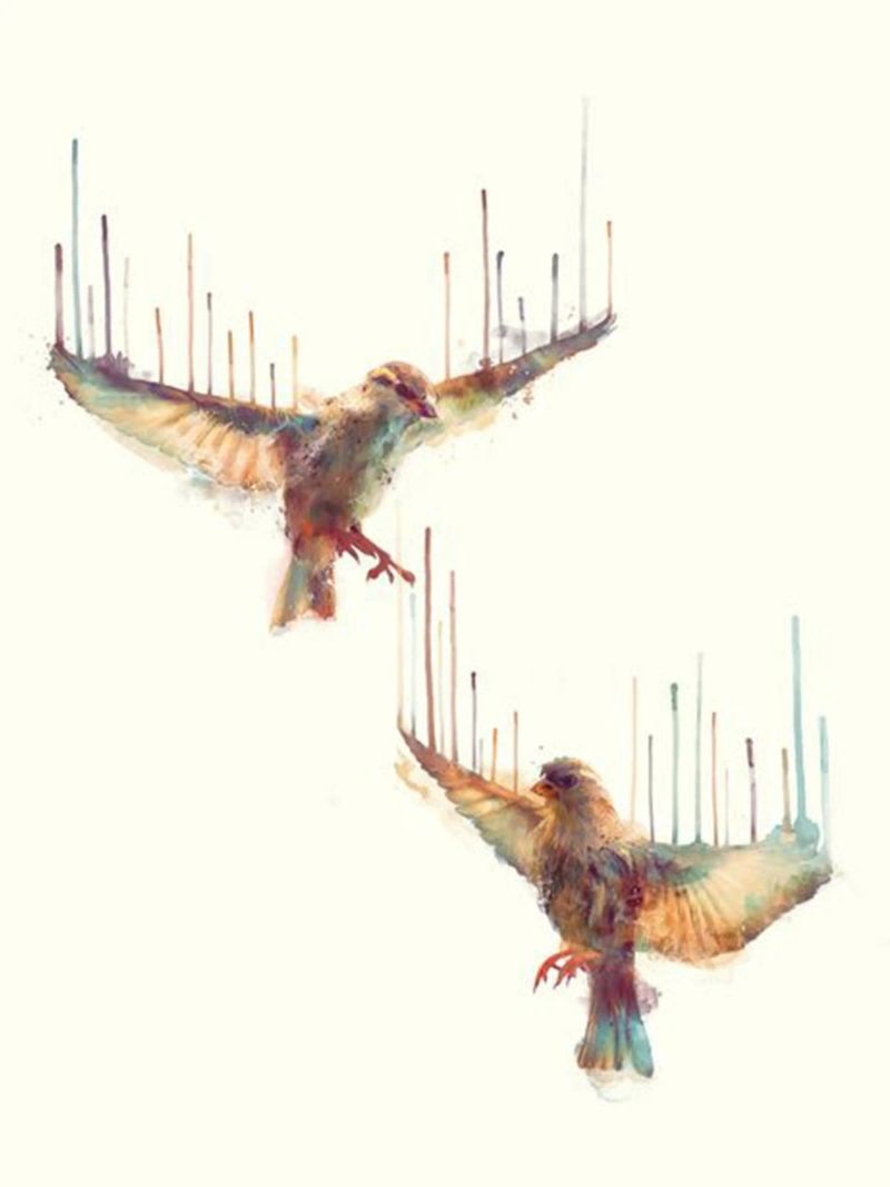 un pájaro que revolotea poster de amnda shope