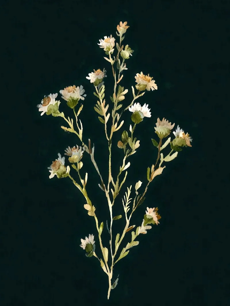 Prato di fiori poster con telaio in legno da Sophia Calder Studio