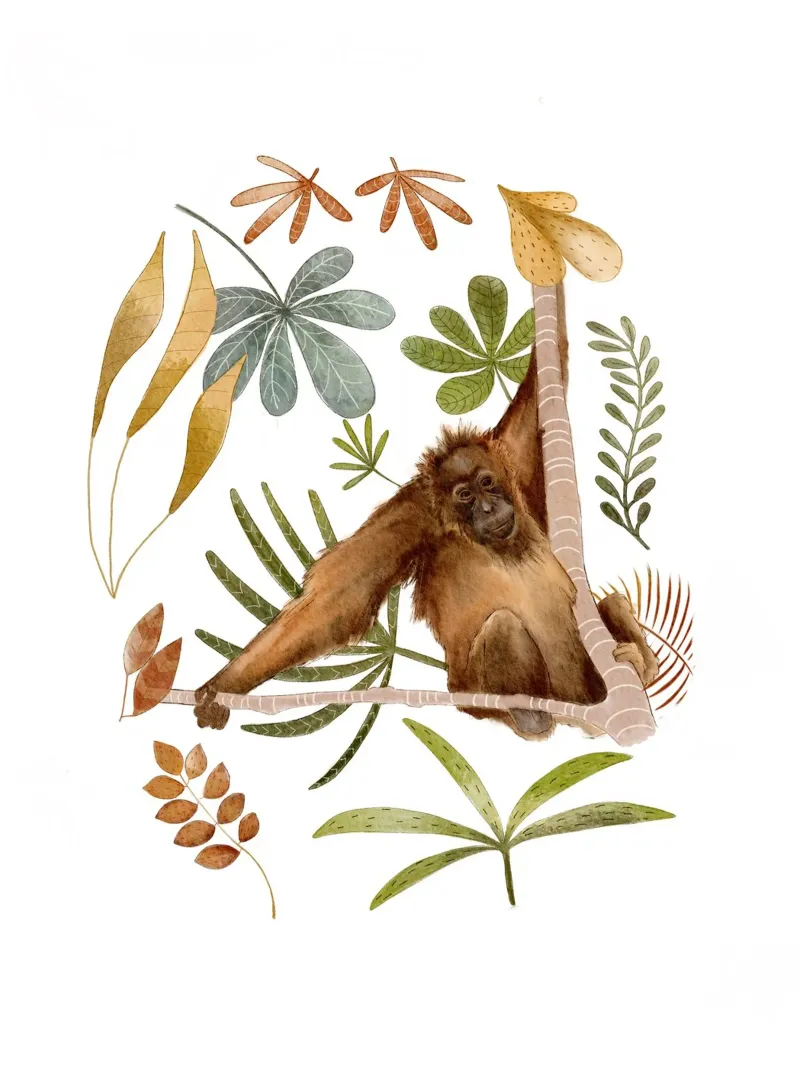 Orang-oetan in de jungle - Botanische aquarelafdruk canvas met Baklijst van Urchin Bay Art