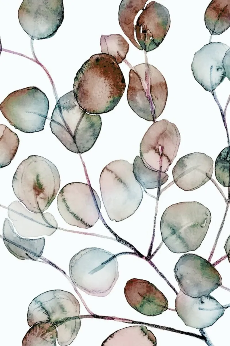 Eucalyptus Watercolor 2 - Eukalyptusblätter Illustration poster con telaio in legno da Monika Strigel