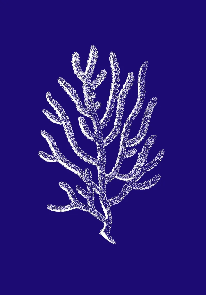 Línea de Coral Blanco - Decoración Océano Azul Profundo poster con marco de plástico de ClubArt