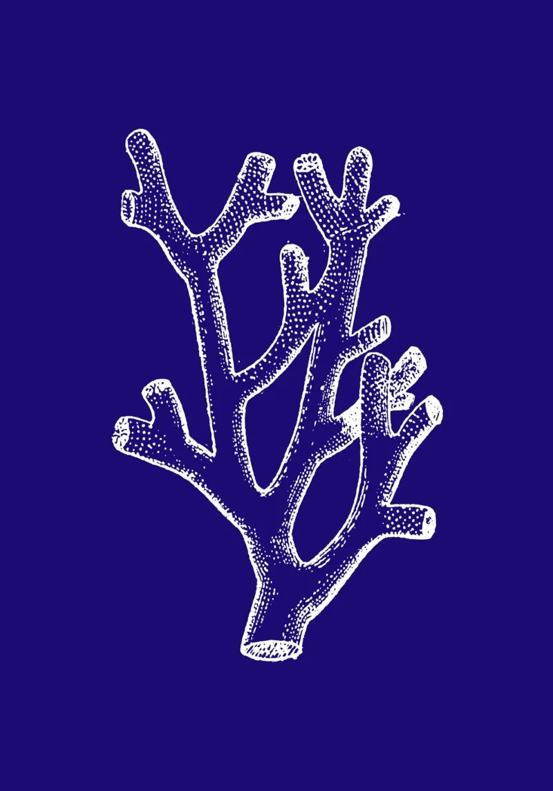 Stylized Coral Line Art Print - Ocean Botanical Decor canvas with Floater frame by ClubArt