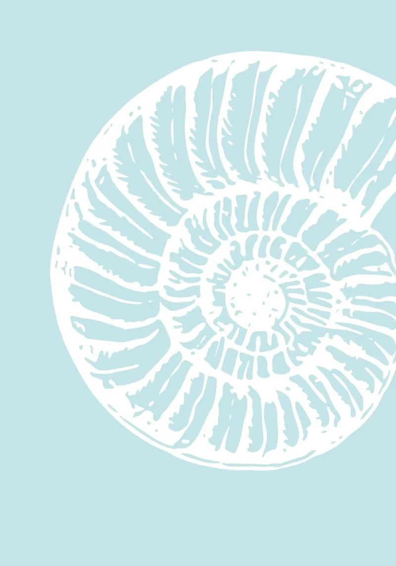 Spiral Seashell Art Print - Serene Coastal Minimalist canvas by ClubArt