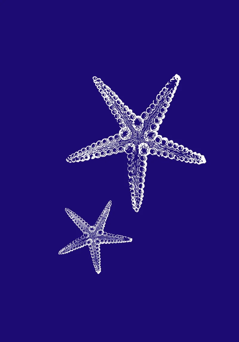 Stampa artistica della linea di stelle marine bianche - Deep Blue Ocean Decor poster con telaio in legno da ClubArt
