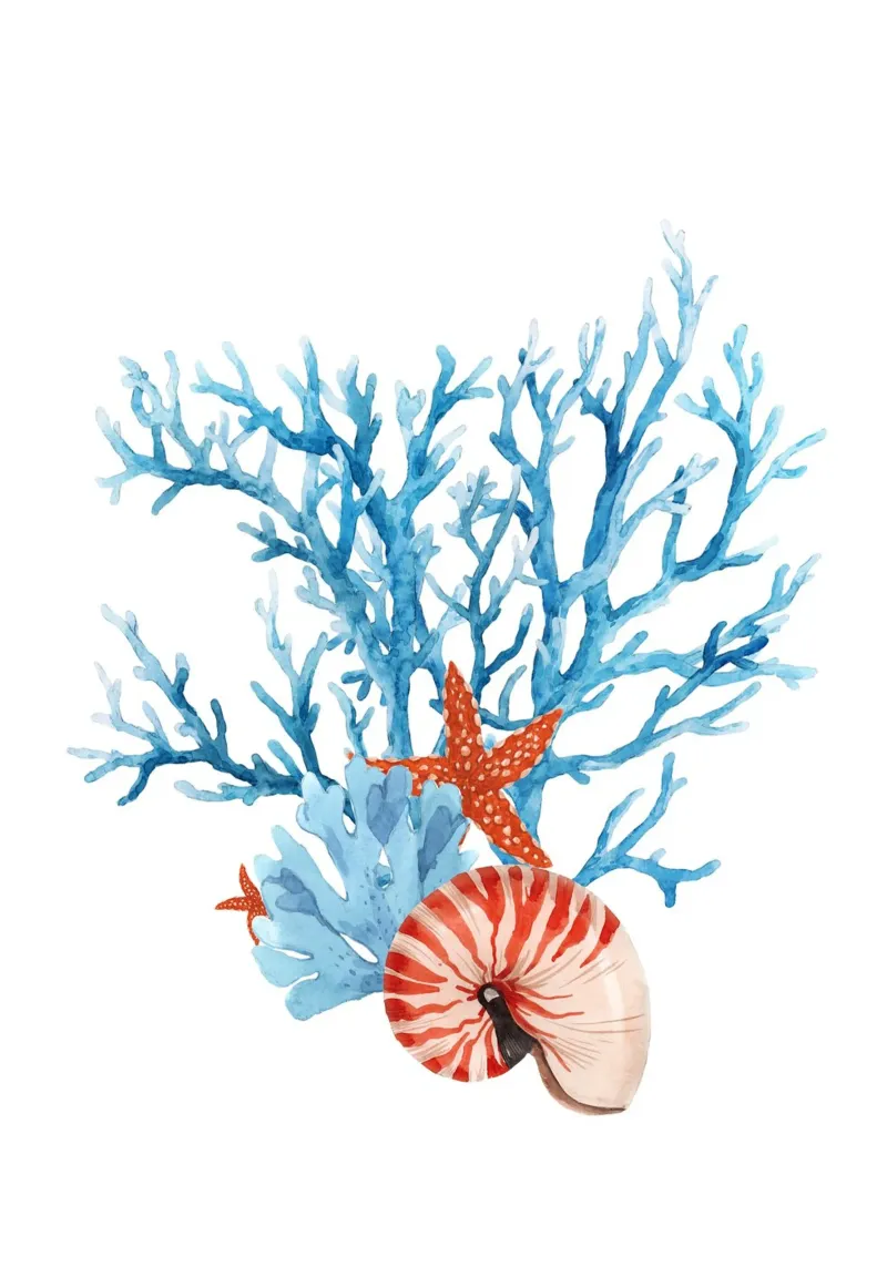 Acquerello con corallo e conchiglie - Arte della barriera corallina poster con telaio in plastica da ClubArt