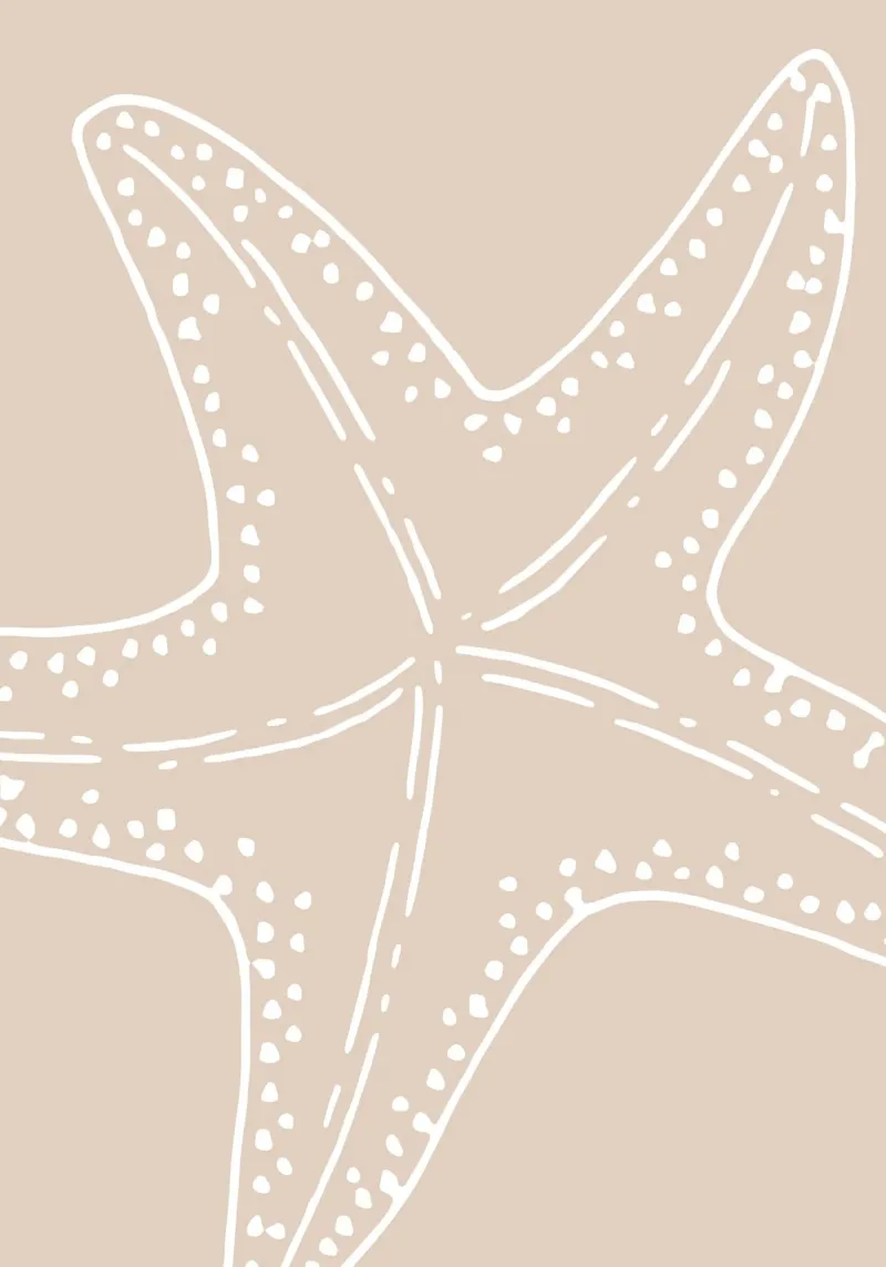 Linea d'arte minimalista di stelle marine - Decorazione costiera beige pellicola backlit da ClubArt