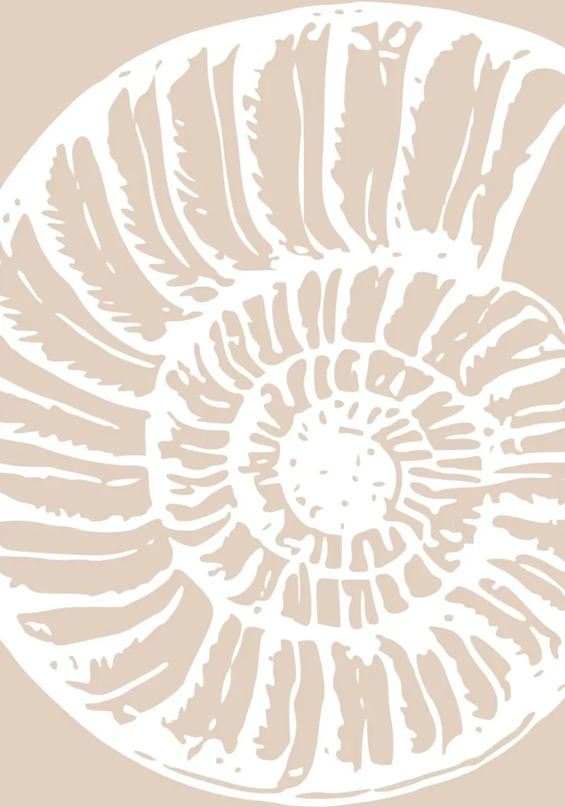 Nautilus Shell Beige Print - Minimalist Ocean Art metacrilato de ClubArt
