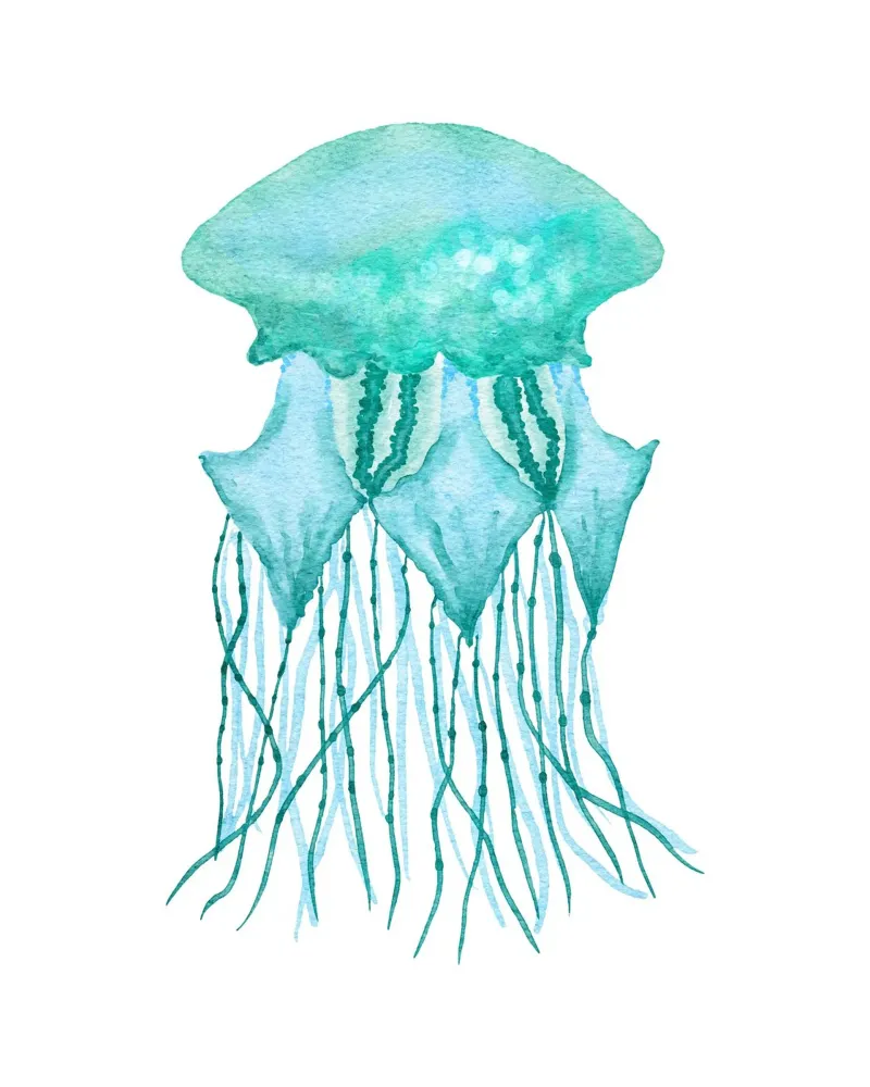 Stampa acquerellata di meduse - Arte eterea dell'oceano pellicola backlit da ClubArt