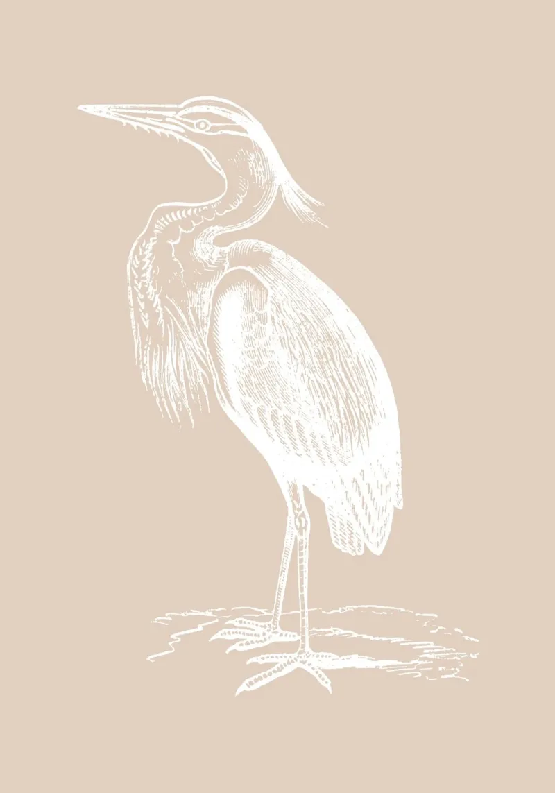 Elegant Heron Line Art Print - Neutral Coastal Bird hahnemühle by ClubArt