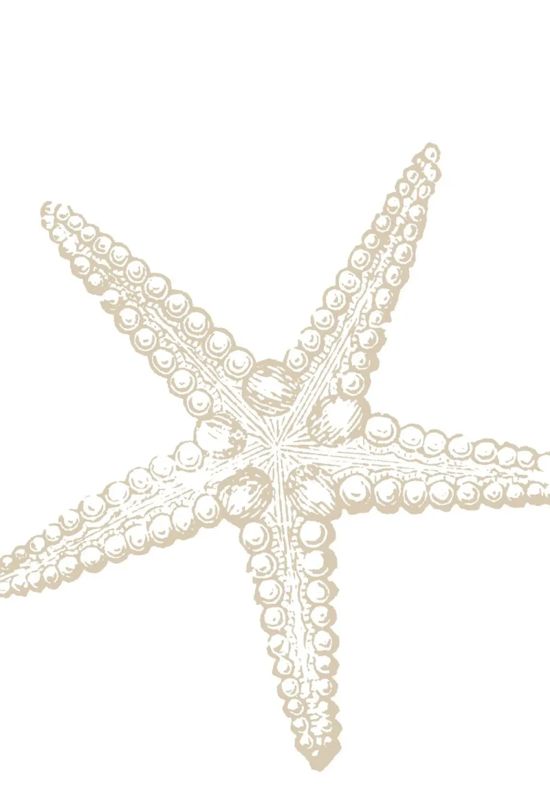 Vintage Starfish Line Art - Neutro bianco oceano pellicola backlit da ClubArt