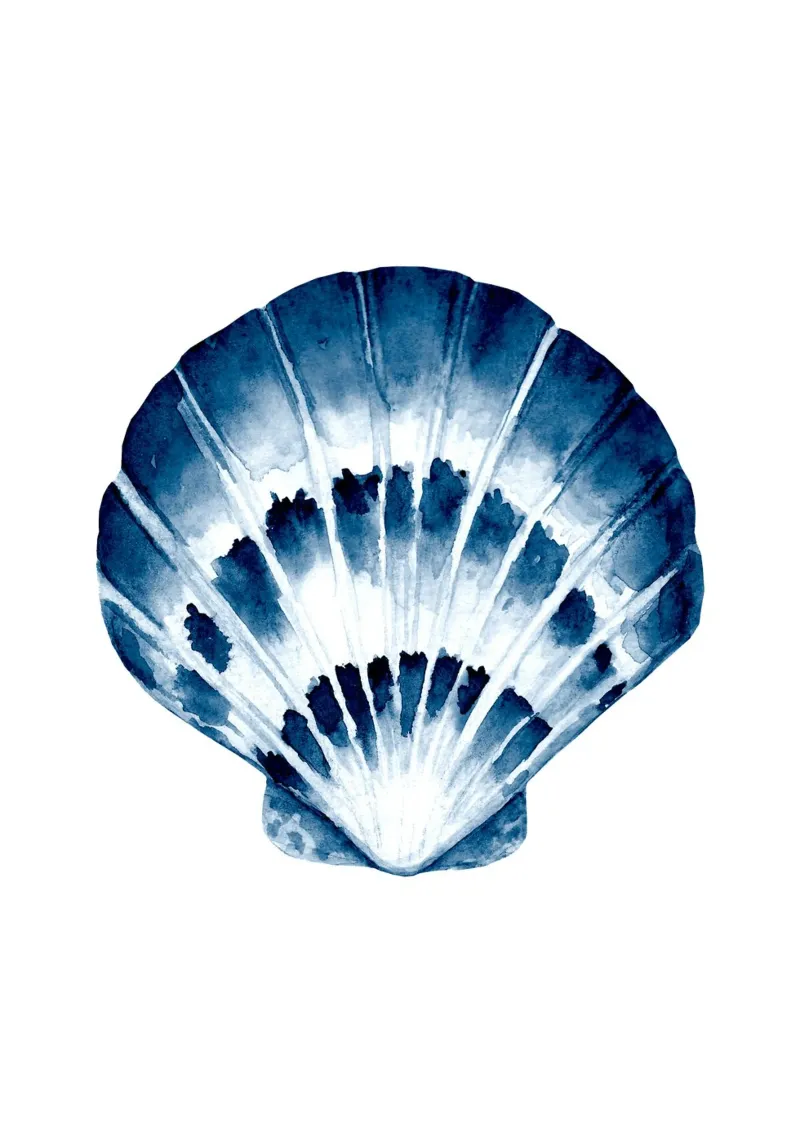 Indigo Sint-Jacobsschelp aquarel - Kustzeekunst hahnemühle van ClubArt
