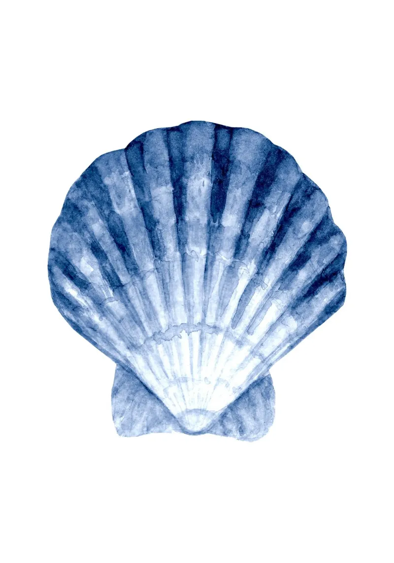 Klassiek blauw Sint-Jacobsschelp aquarel - Kustzeekunst canvas met Baklijst van ClubArt