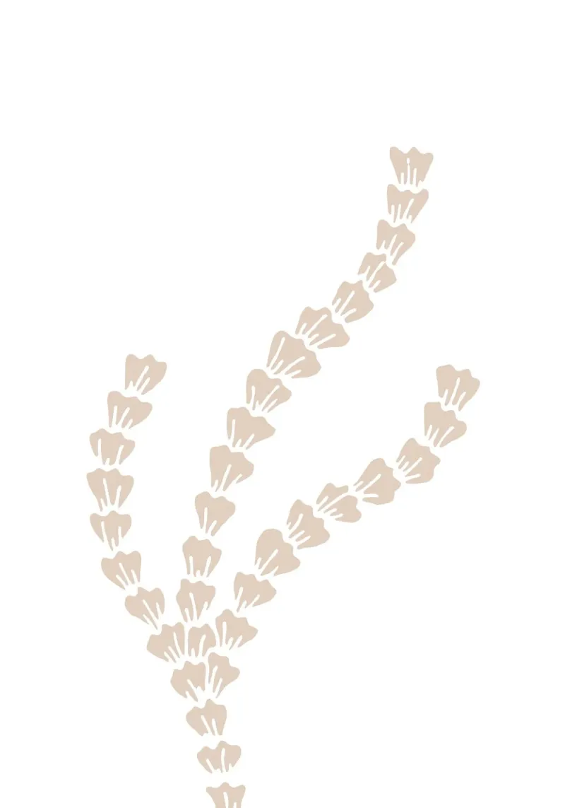 Neutral Seaweed Motif Print - Minimalist Ocean Art canvas by ClubArt