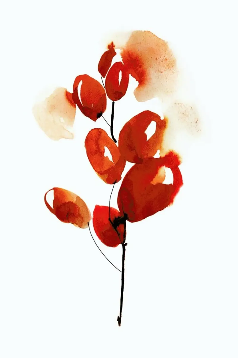 Cherries pellicola backlit da Ekaterina Koroleva