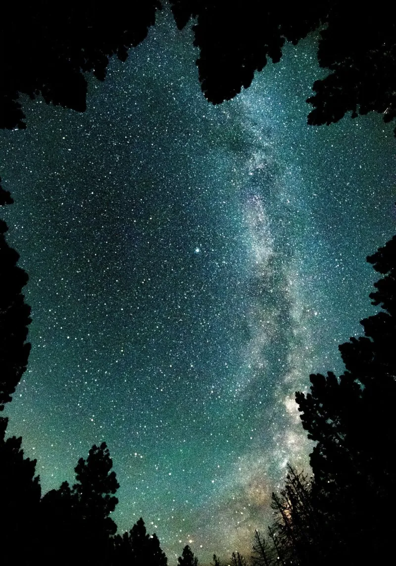 stelle cielo notturno alberi via lattea pellicola backlit da space words