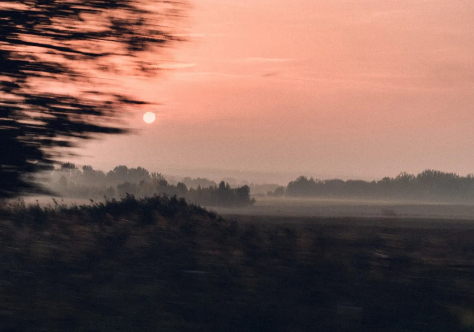 sunset horizon trees canvas by space words