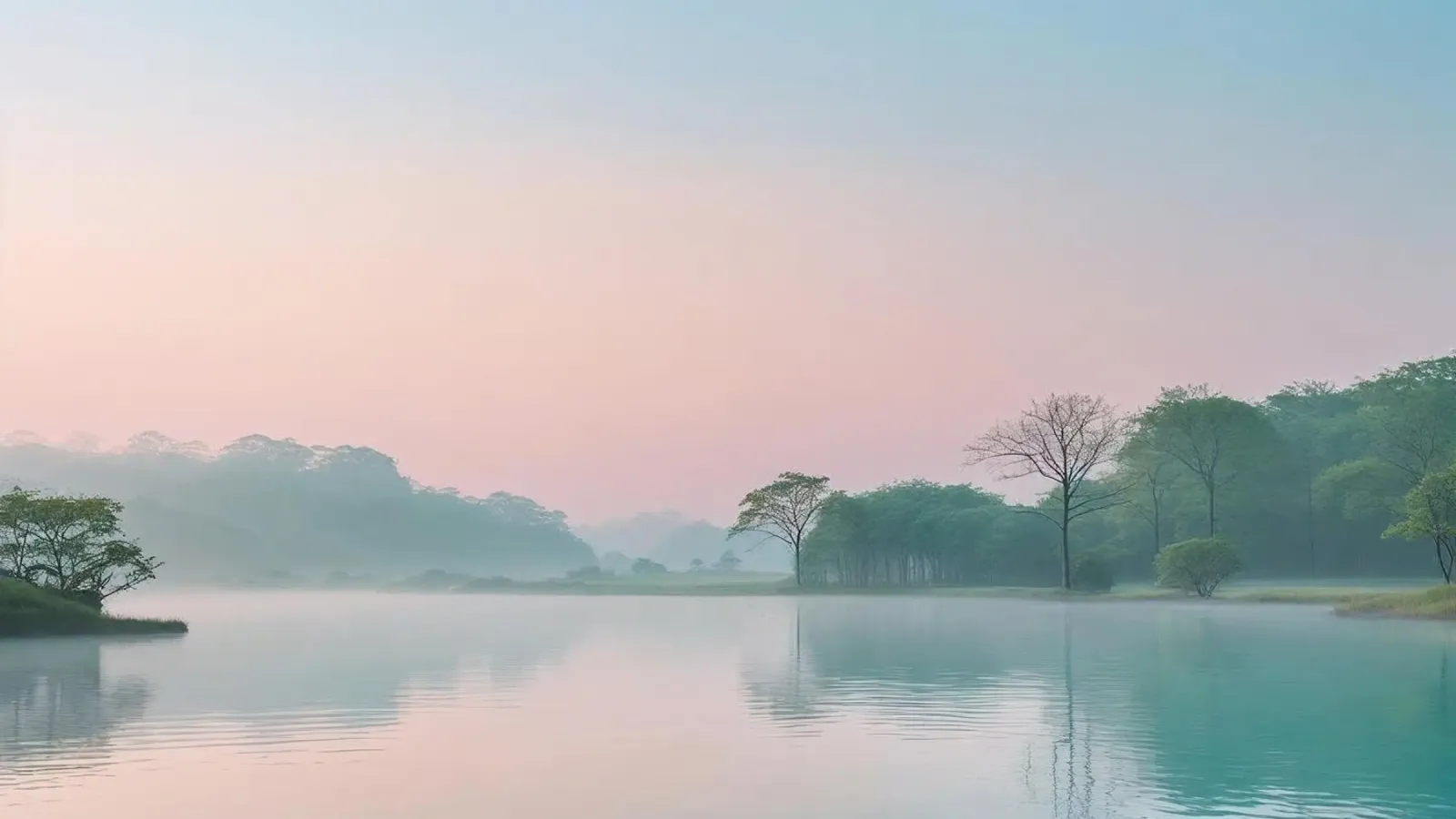lago alberi nebbia pellicola backlit da cofa home
