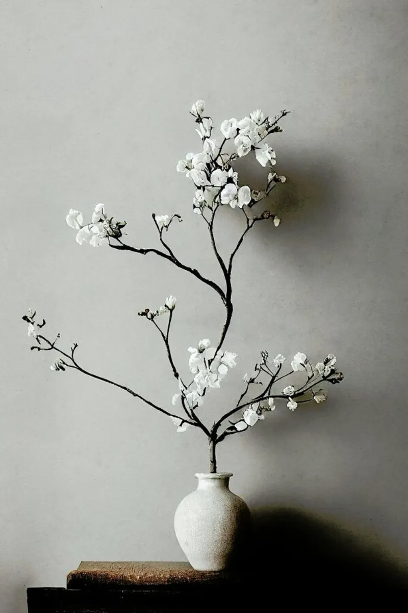 Branch with Blossoms pellicola backlit da treechild