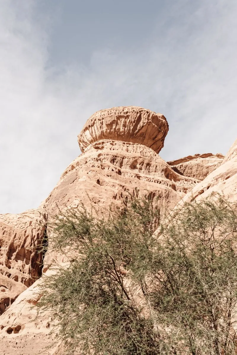 Rocks and a tree in the desert canvas by photolovers