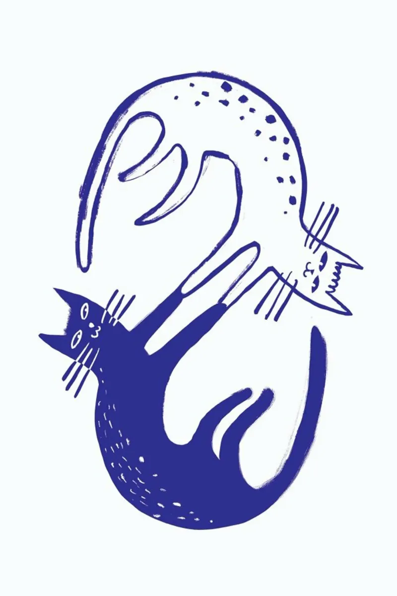 Kitten Around Blue pellicola backlit da Graphite
