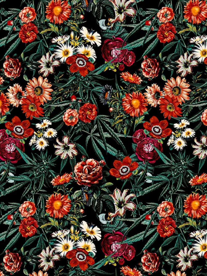 Marijuana and Floral Pattern pellicola backlit da burcukorkmazyurek