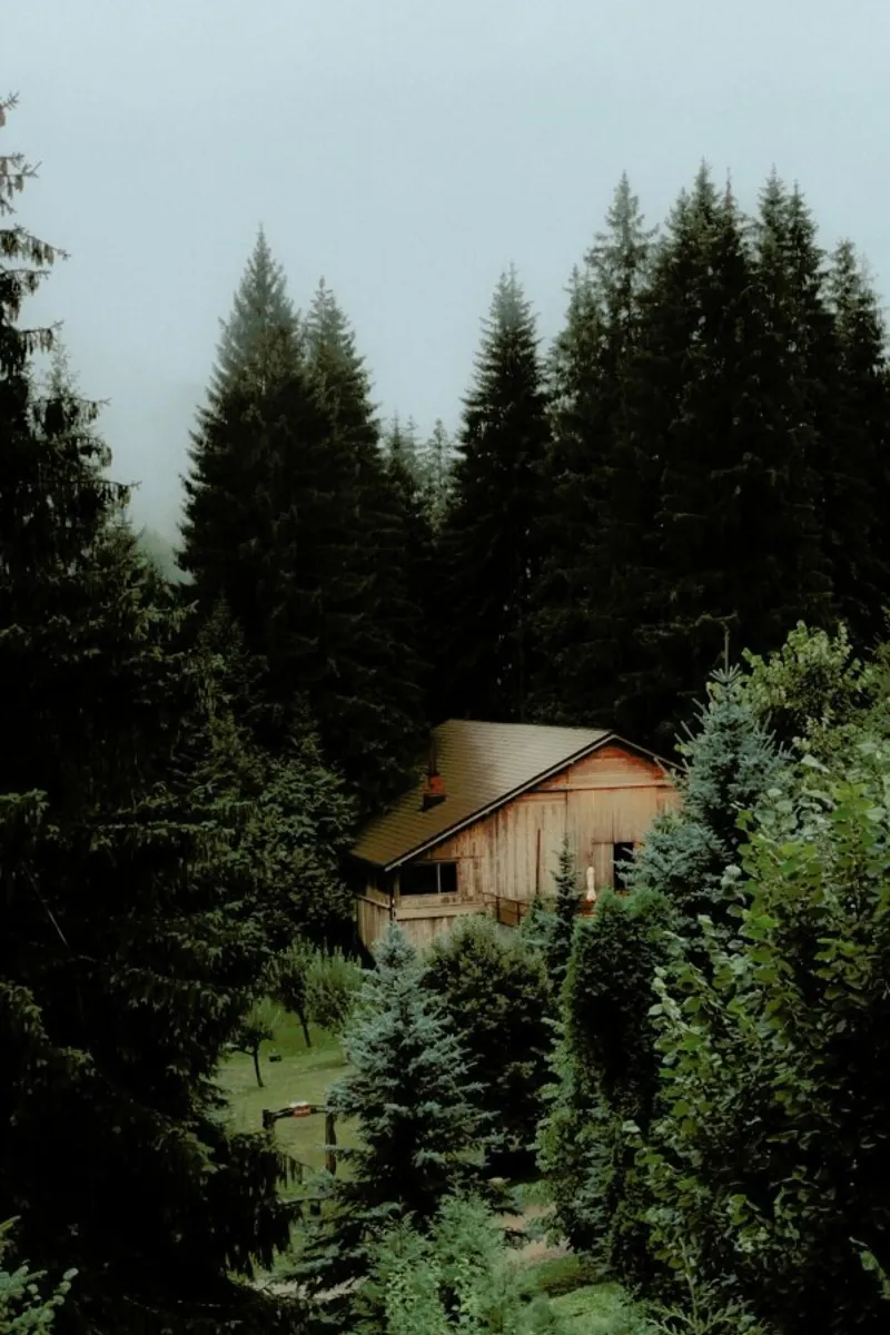 The Cabin In The Forest pellicola backlit da Sebastian Hilgetag