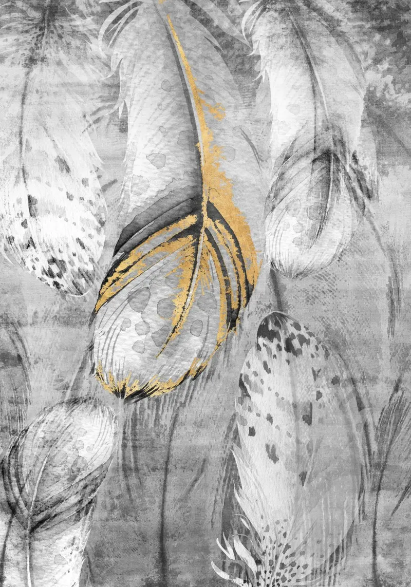 abstract art feathers pellicola backlit da vintageshop