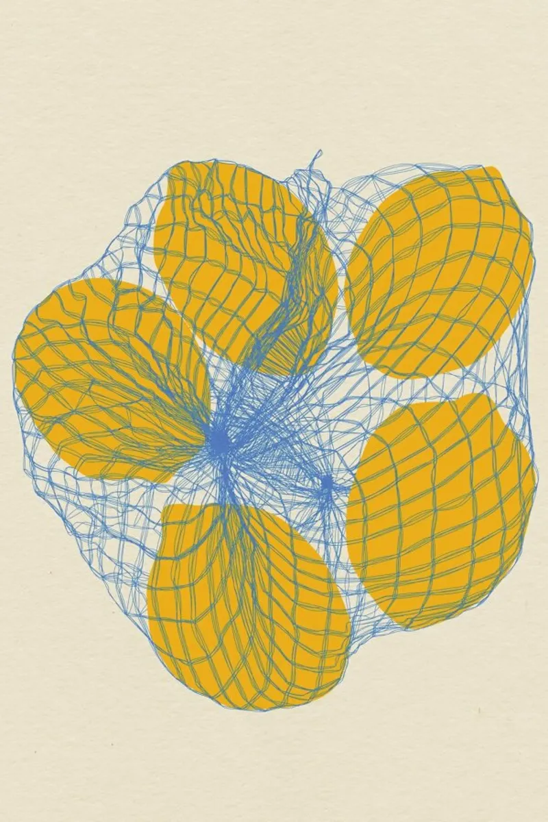 Five Lemons In A Net Bag poster da Rosi Feist