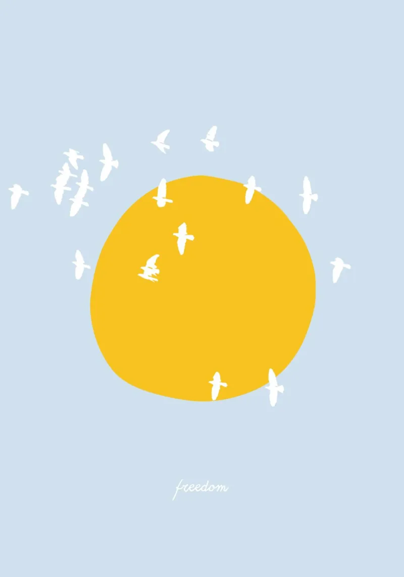 Vögel im Sonnenuntergang Freedom acrylic glass by Hafenkönigin
