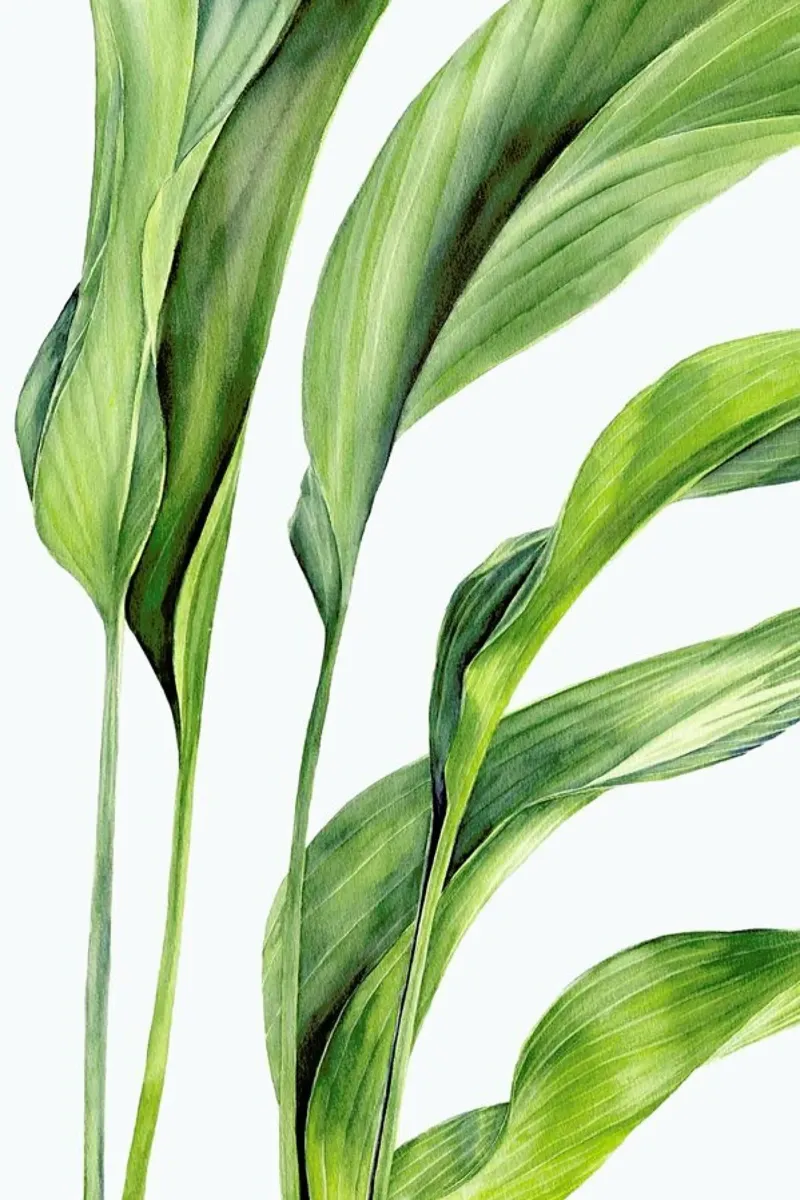 Green Leaves poster da youdesignme