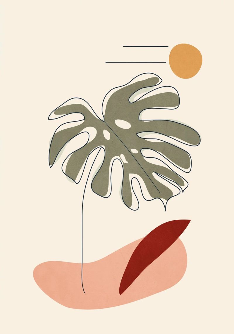 Minimal Line Monstera pellicola backlit da Flow Line