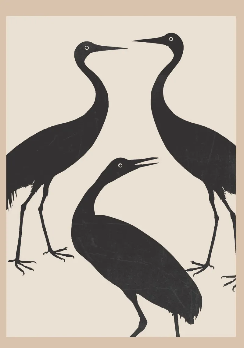 The Abstract Black Birds pellicola backlit da Nadjaa