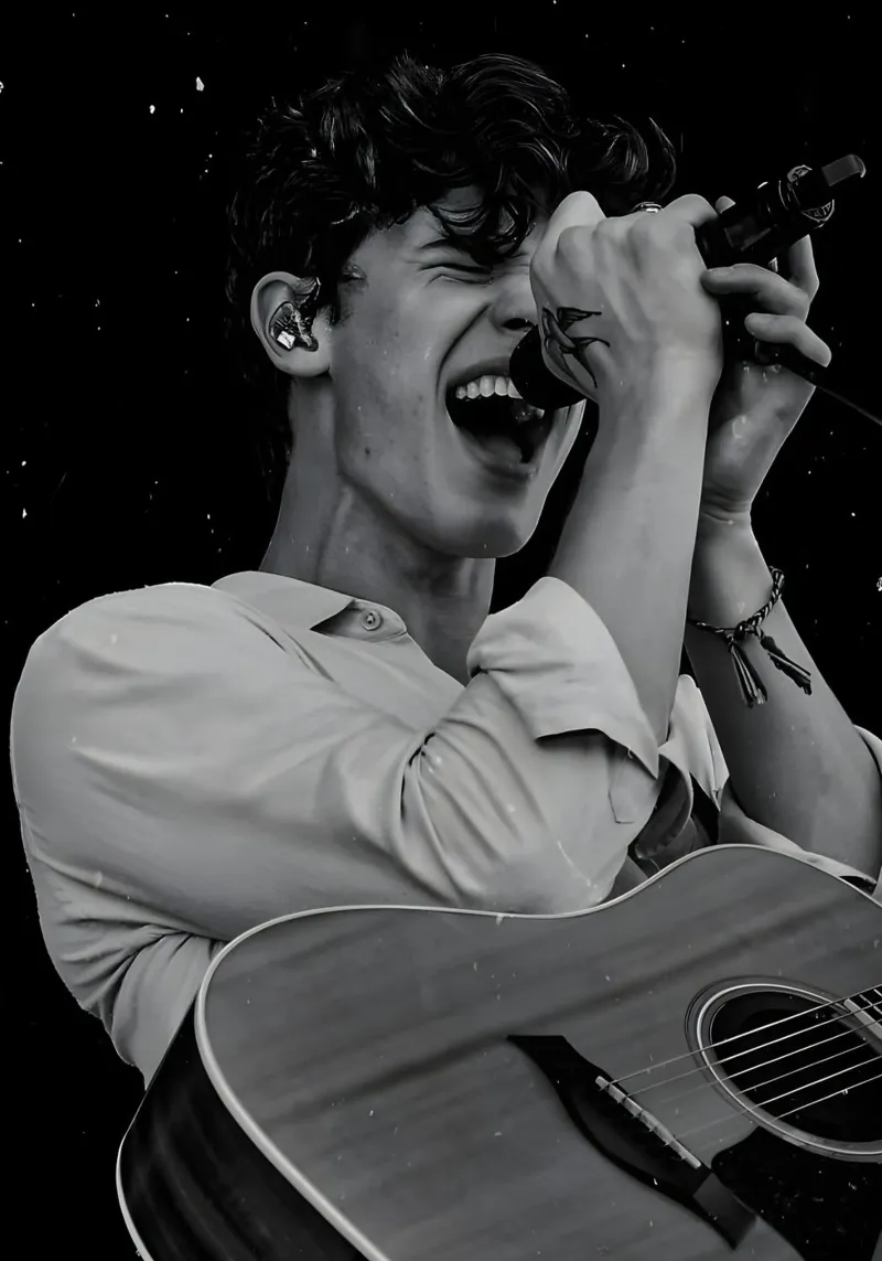 Shawn Mendes pellicola backlit da Low poly art