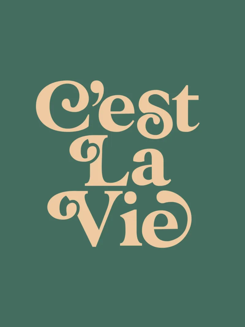 C'est La Vie Tipografia Design pellicola backlit da THE MOTIVATED TYPE