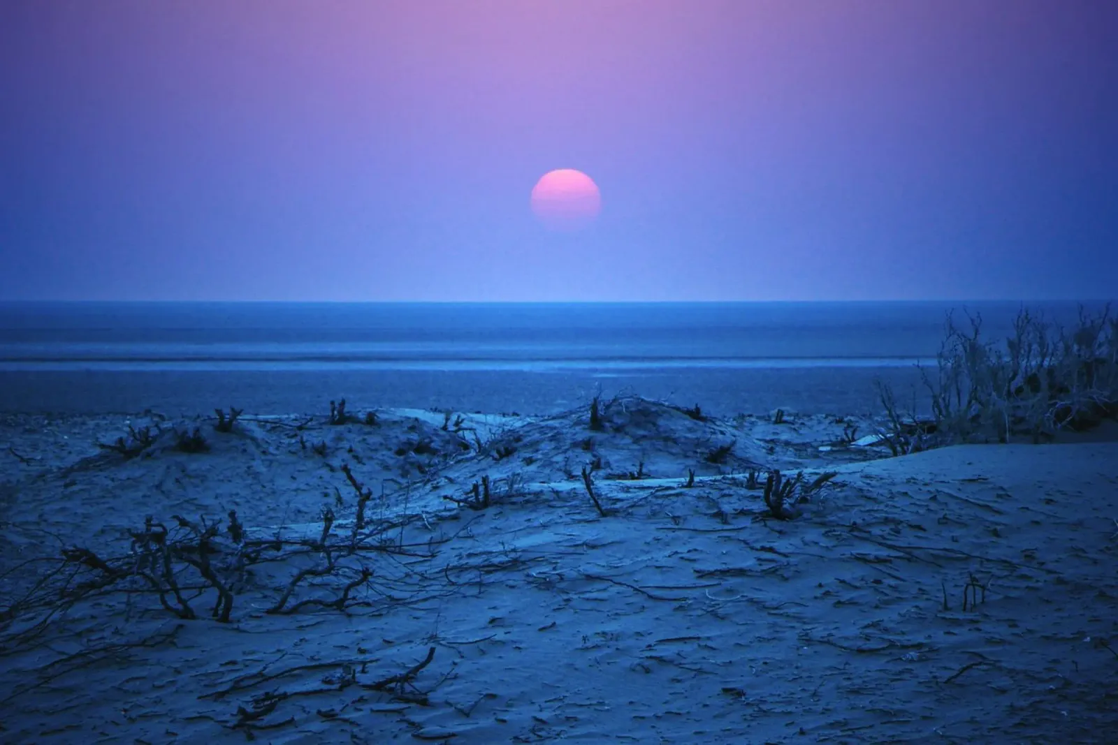 rami costa orizzonte pellicola backlit da life of sands