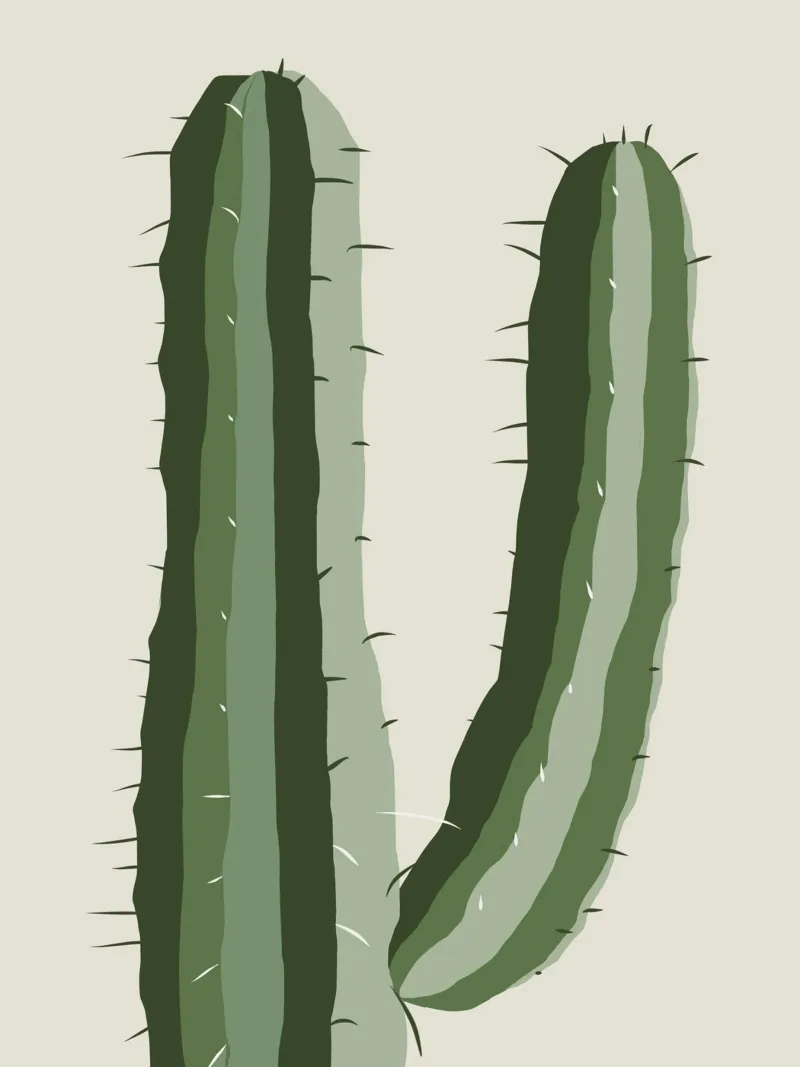 Cactus da solo poster con telaio in legno da Little Dean