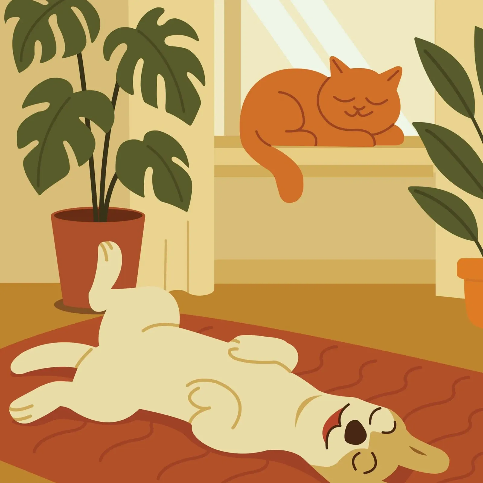 cane e gatto si rilassano carta hahnemühle da animal story home