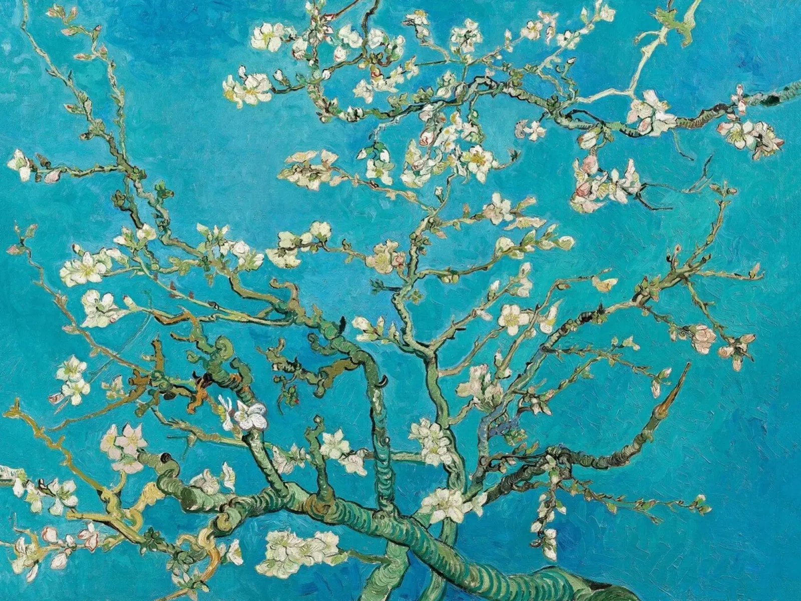 Mandorli in fiore - Vincent van Gogh pellicola backlit da Sylviepaint