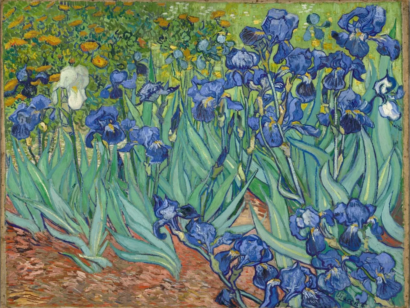 Iris - Vincent van Gogh poster da Sylviepaint