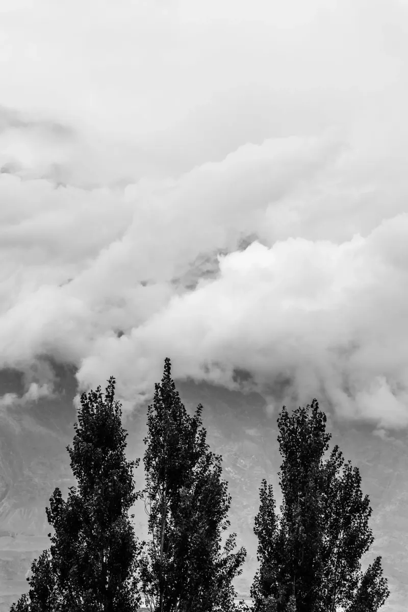 Three trees in cloudy mountains canvas by photolovers
