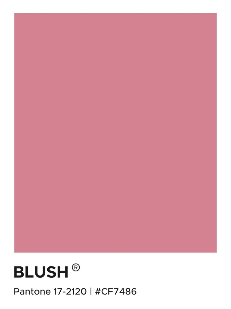 Pantone Blush pellicola backlit da Paigaam Studio