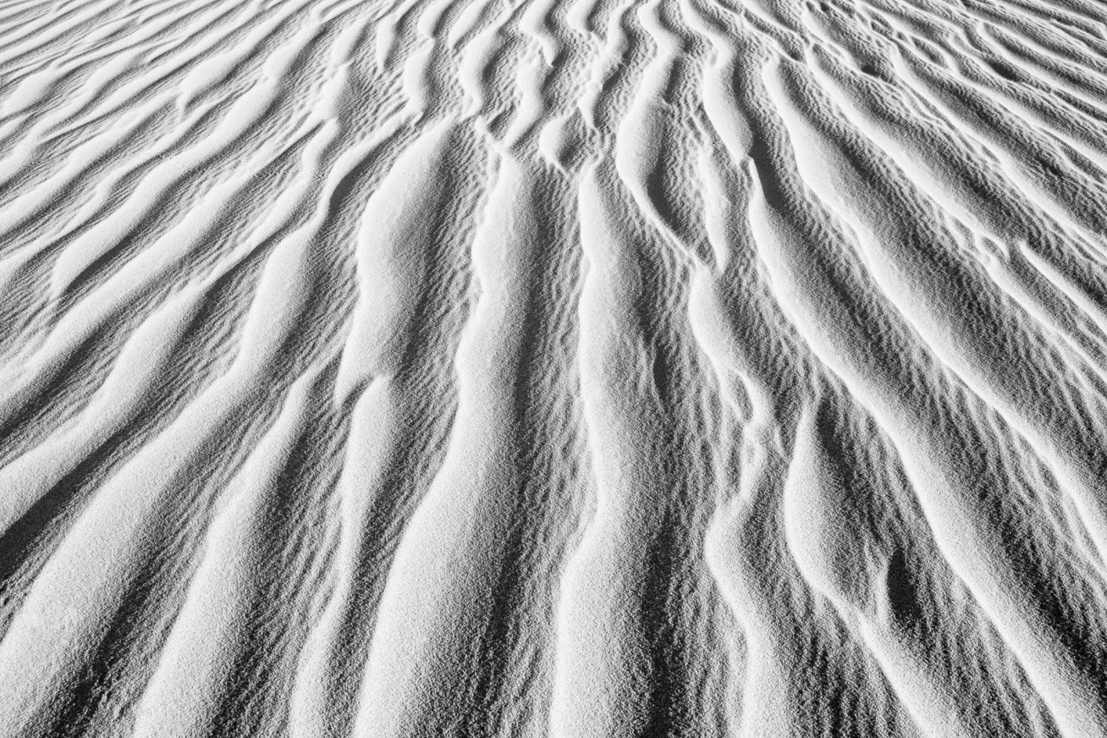 Abstract Sahara pellicola backlit da photolovers