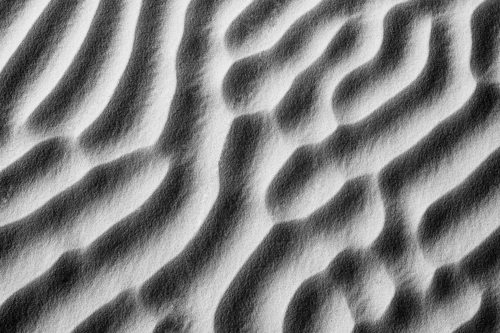 Abstract sand art in black and white pellicola backlit da photolovers