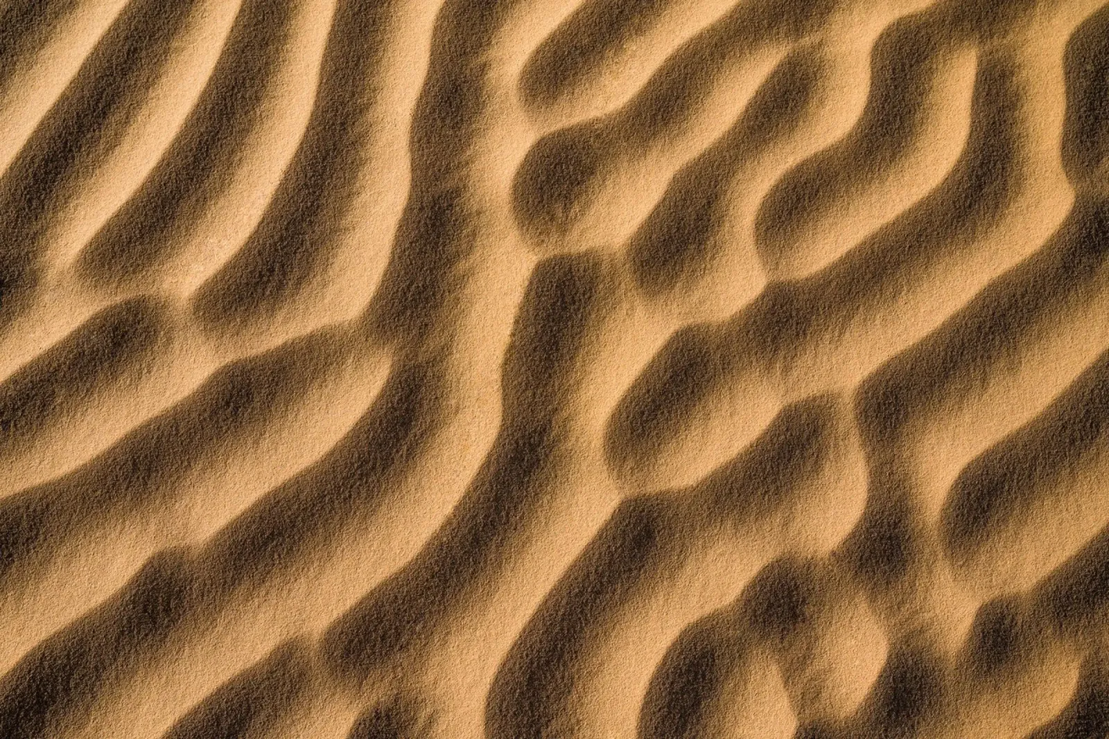 Abstract sand art in color pellicola backlit da photolovers