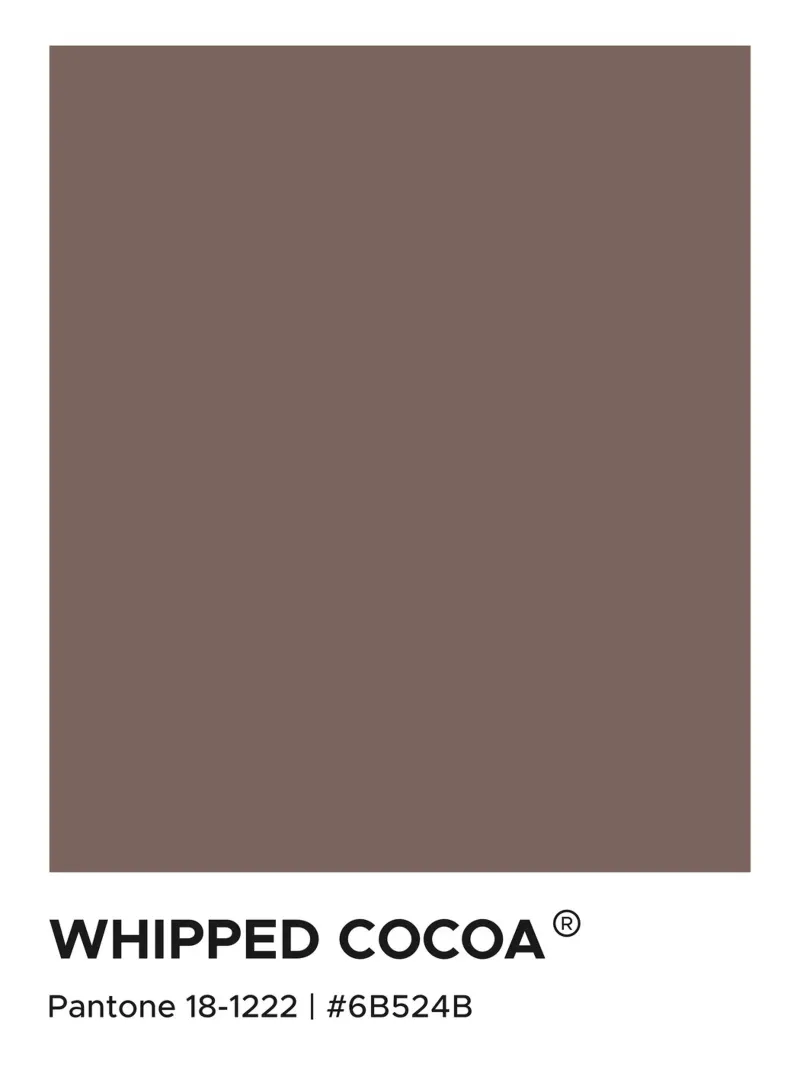 Whipped Cocoa Pantone canvas with Floater frame by Paigaam Studio