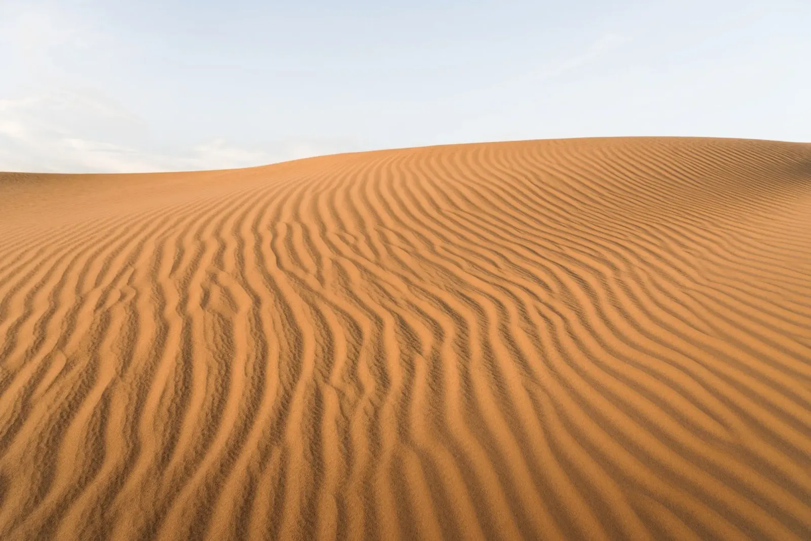 Sand dune in the Sahara desert alluminio dibond da photolovers