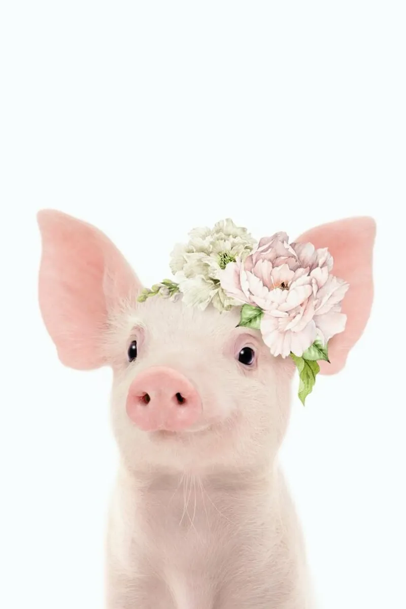 Floral Baby Pig canvas by Lila x Lola