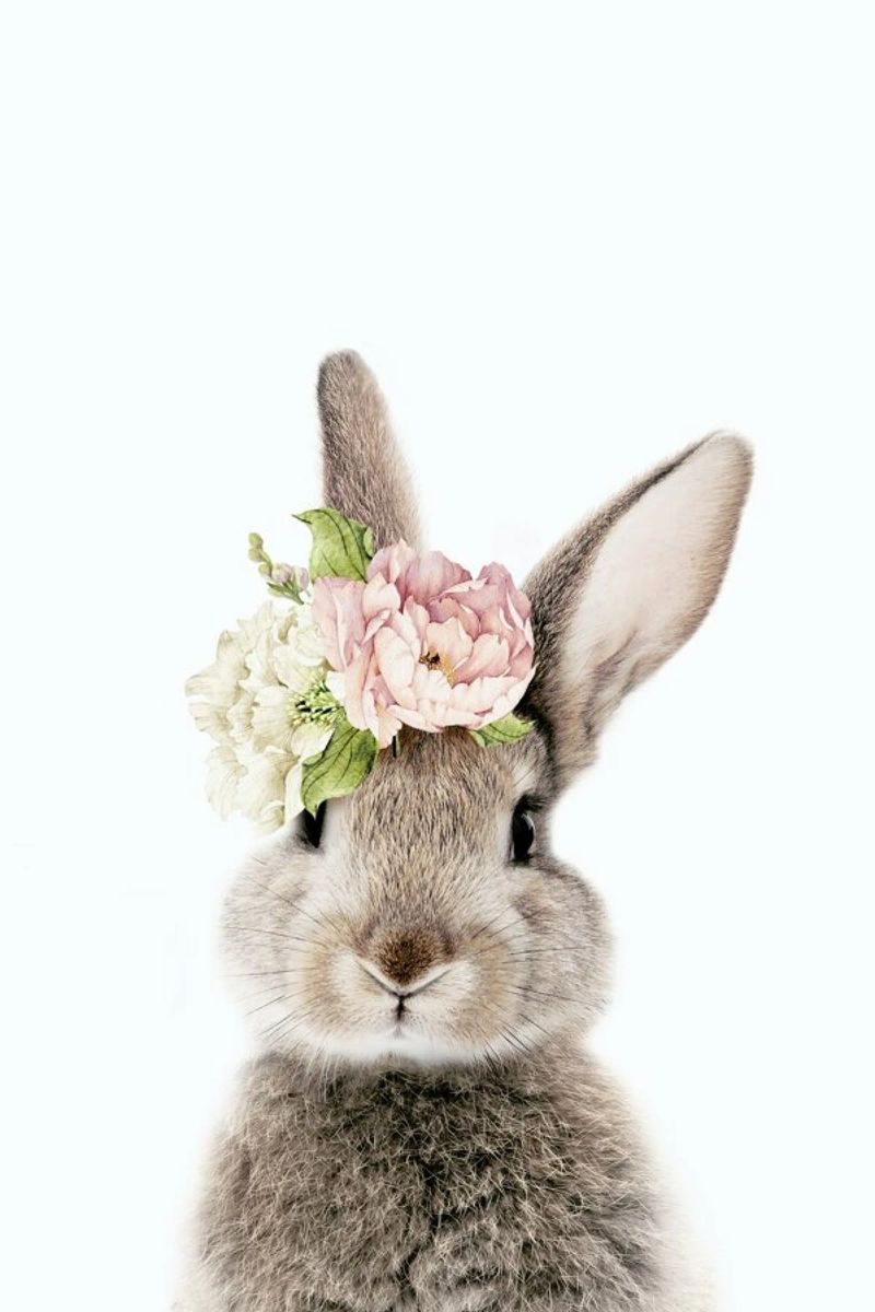 Floral Bunny poster by Lila x Lola