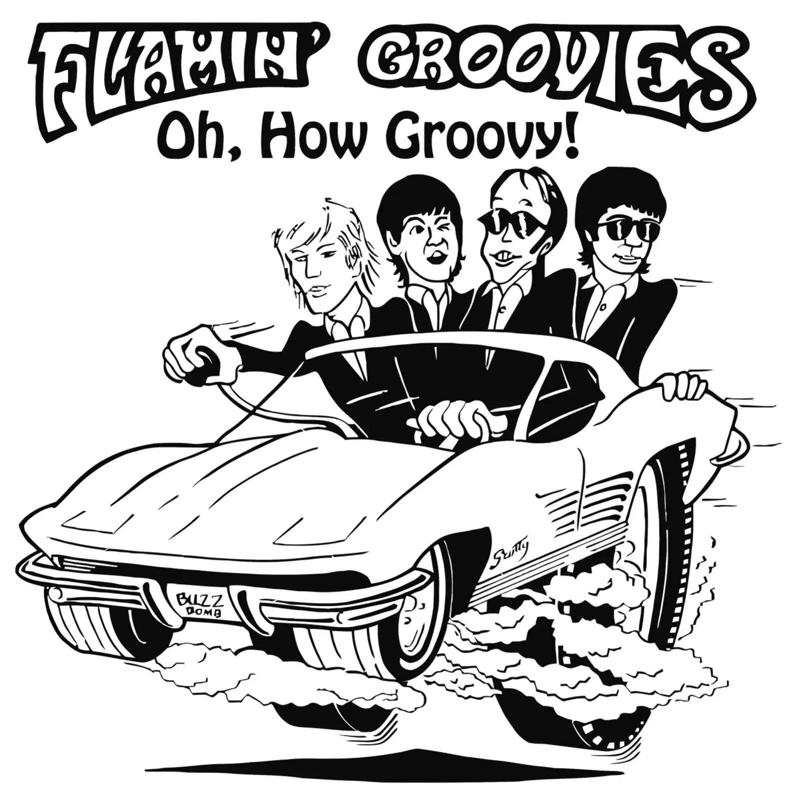 Flamin' Groovies poster with plastic frame by Aranduts